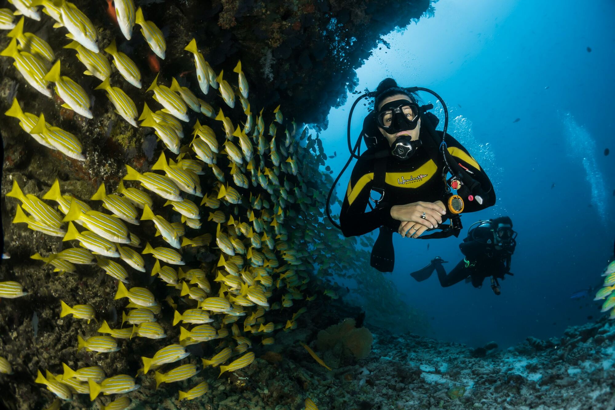 A diver moving alongside a large school of fish over a reef