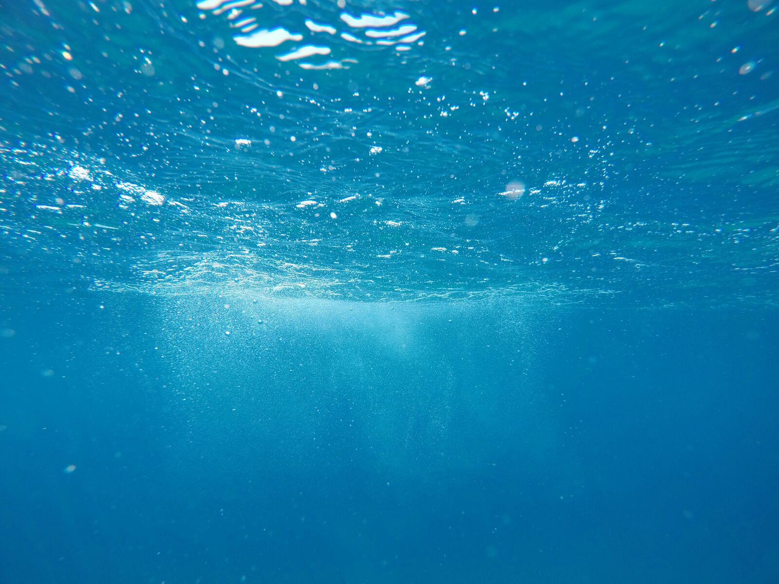 Sunlight and streams of bubbles rising through clear blue water
