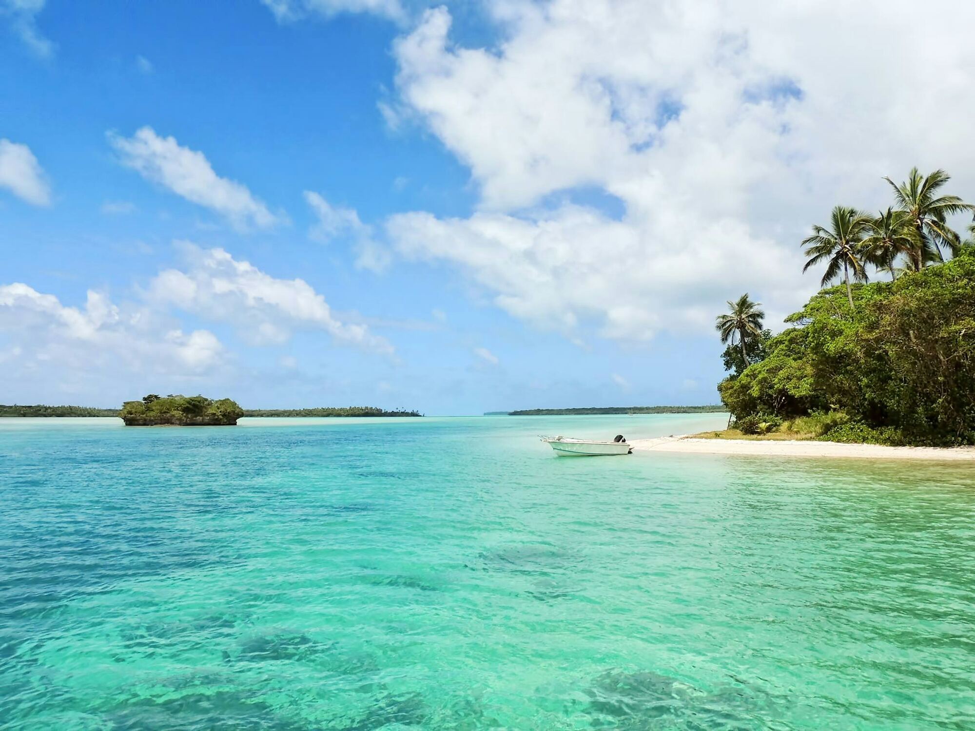 A calm turquoise lagoon with a small forested island